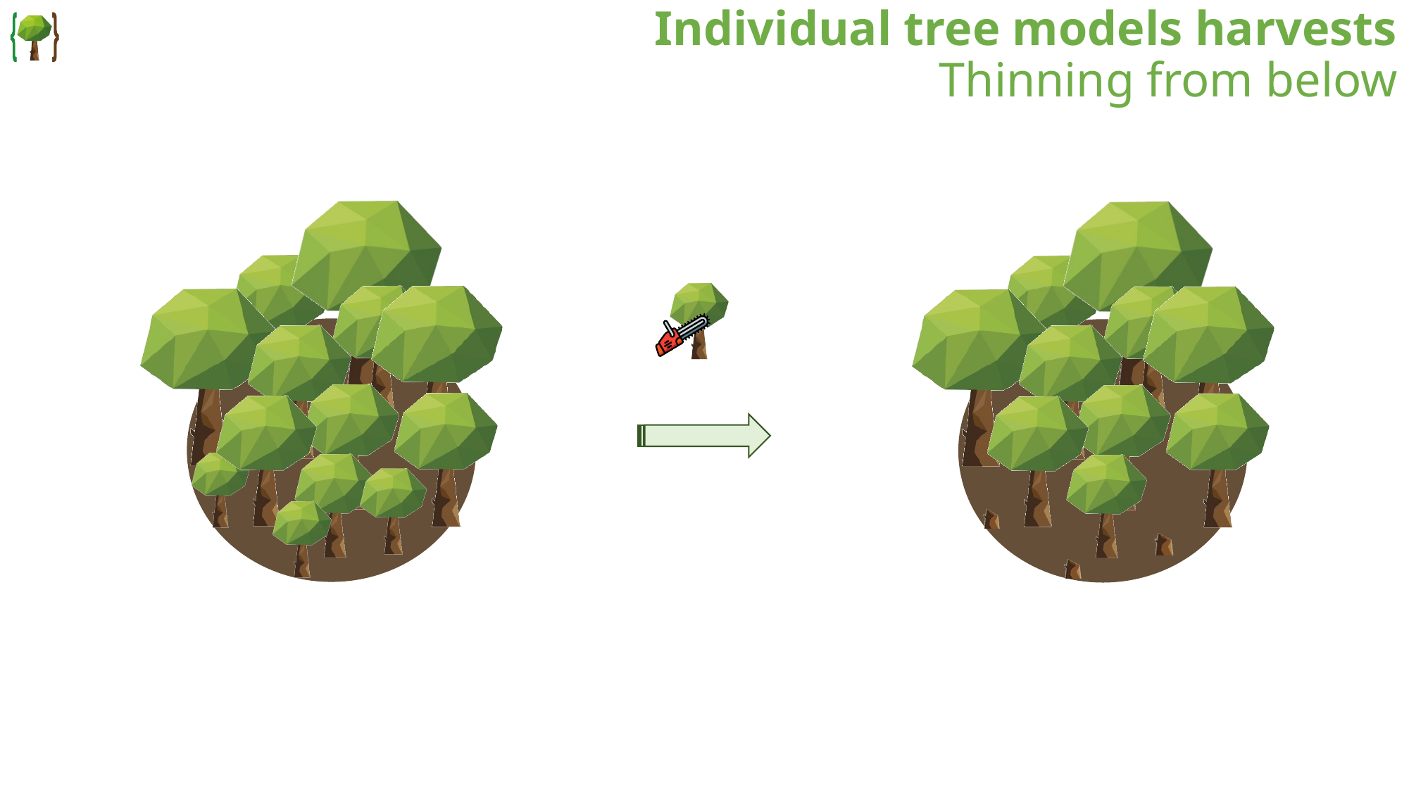 Thinning from below