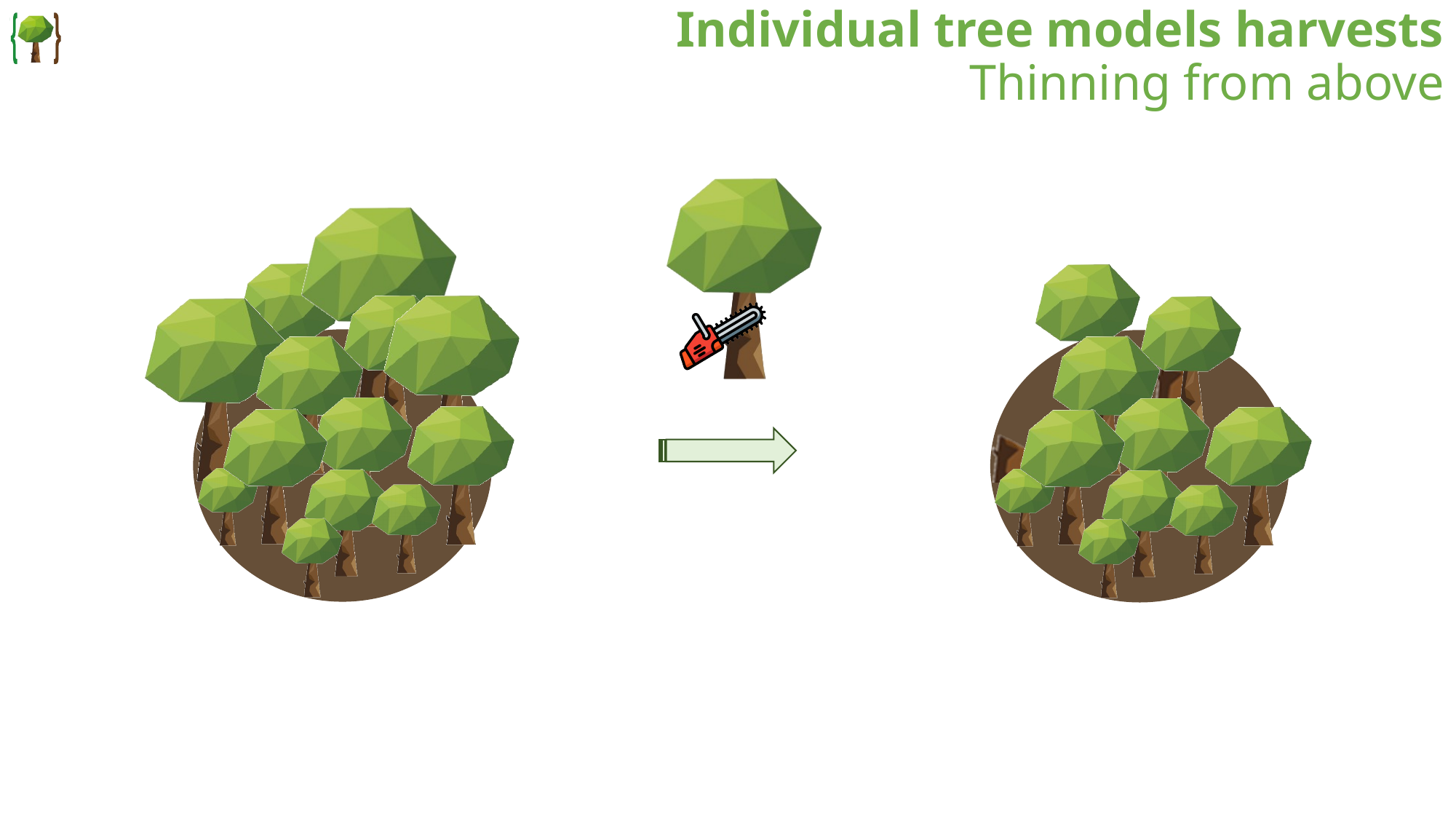 Thinning from above