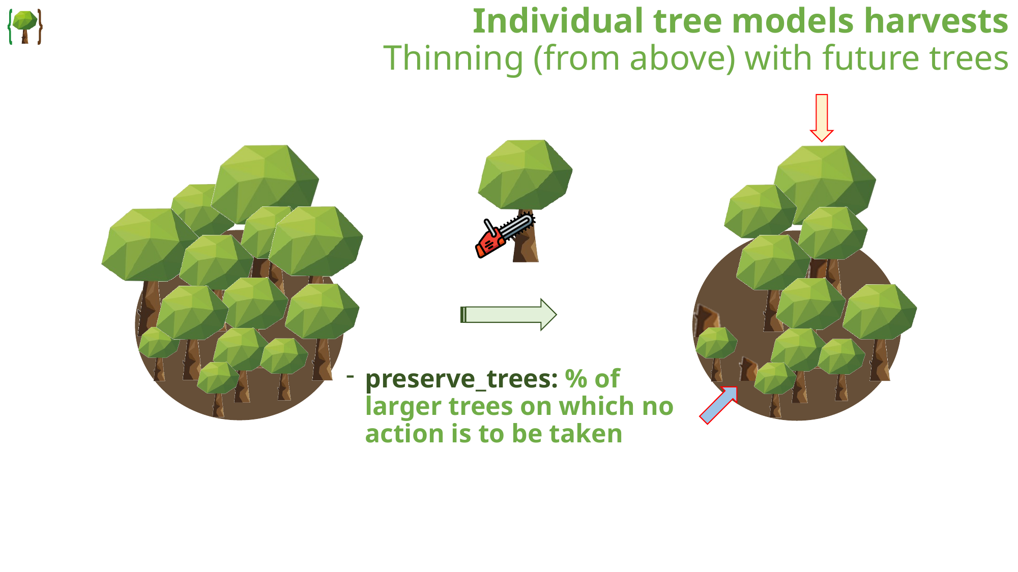 Thinning from above with future trees