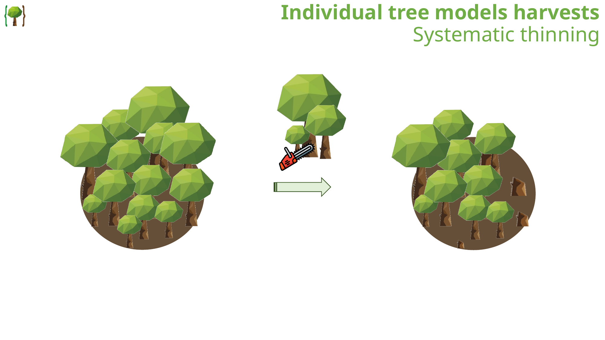 Systematic thinning