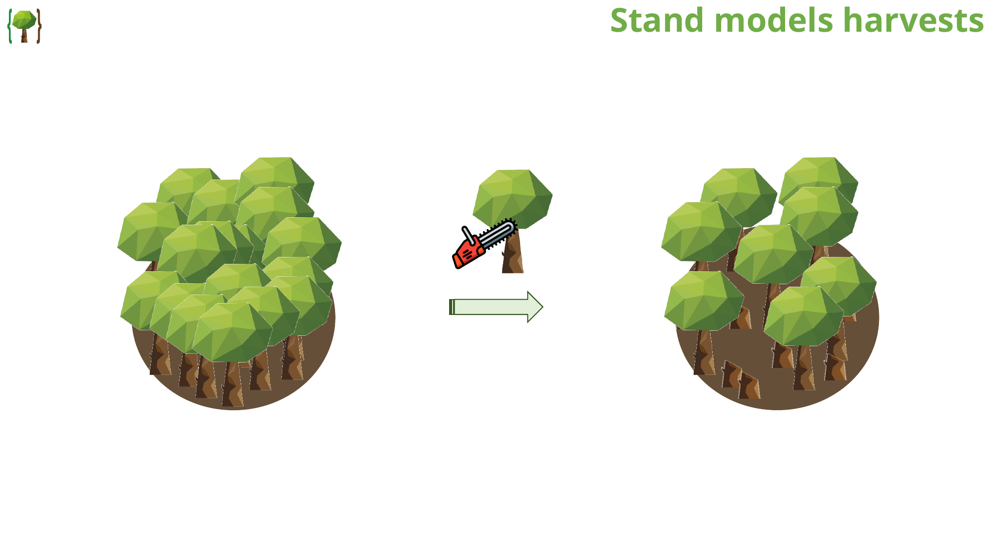 Stand-level model harvests