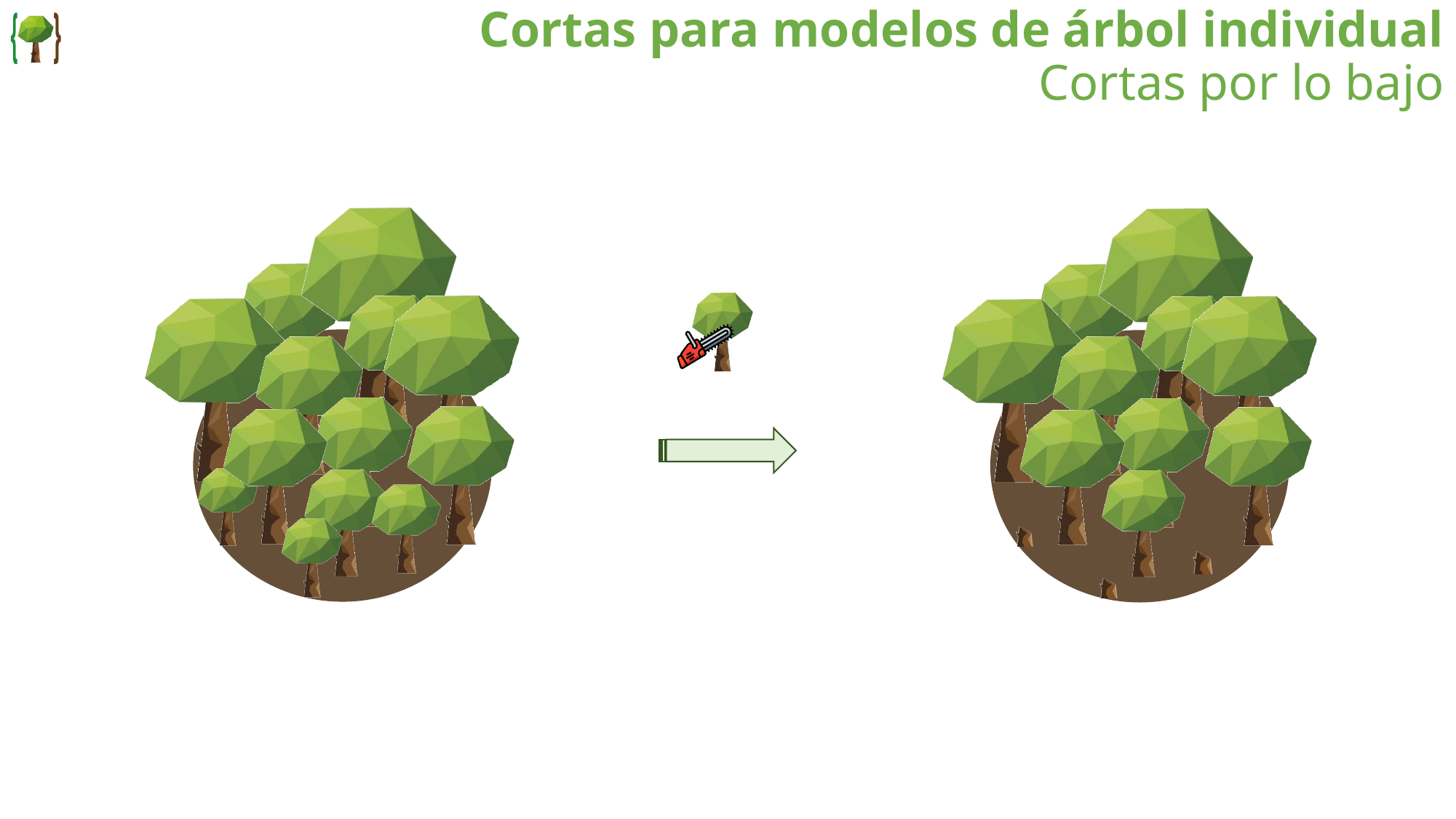 Cortas por lo bajo