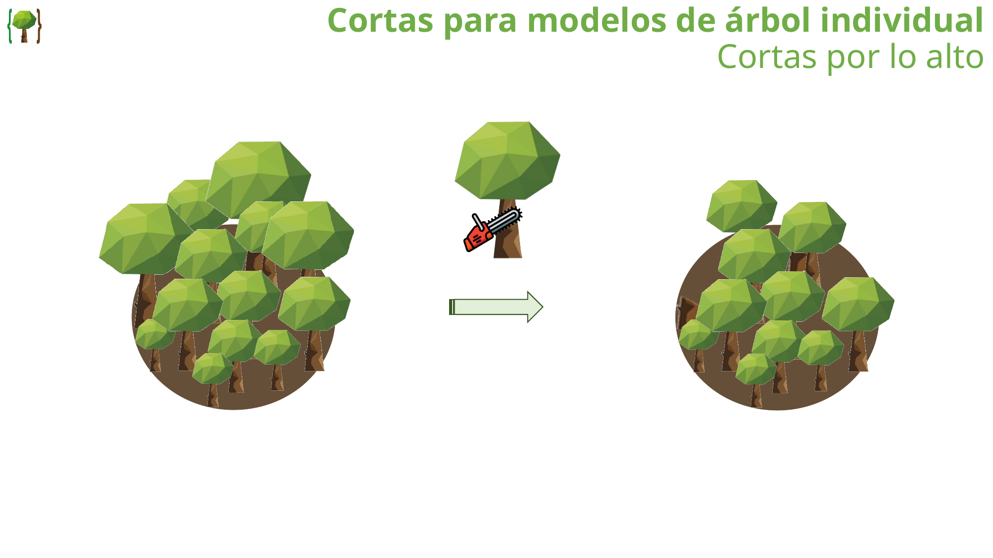 Cortas por lo alto