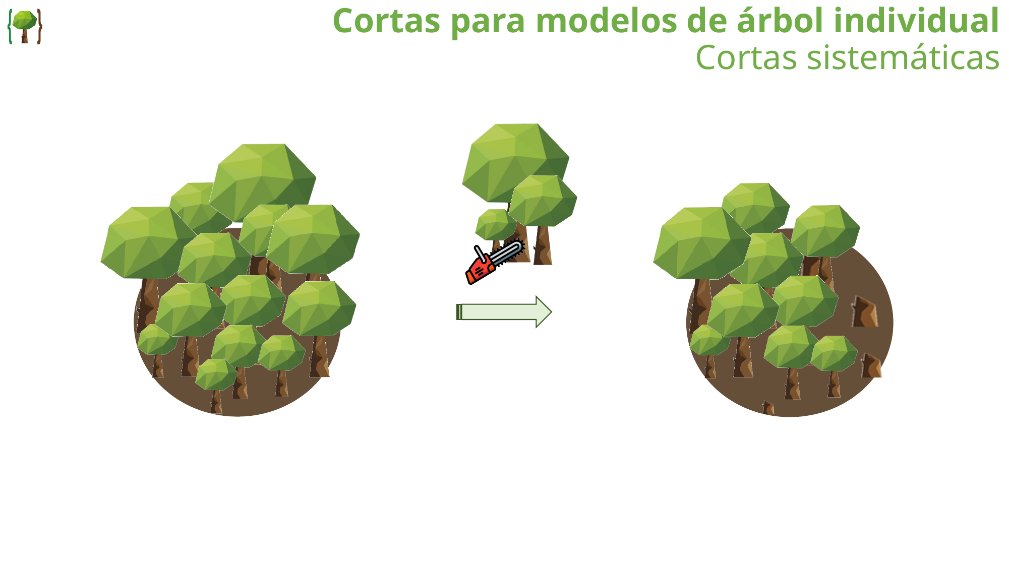 Cortas sistemáticas