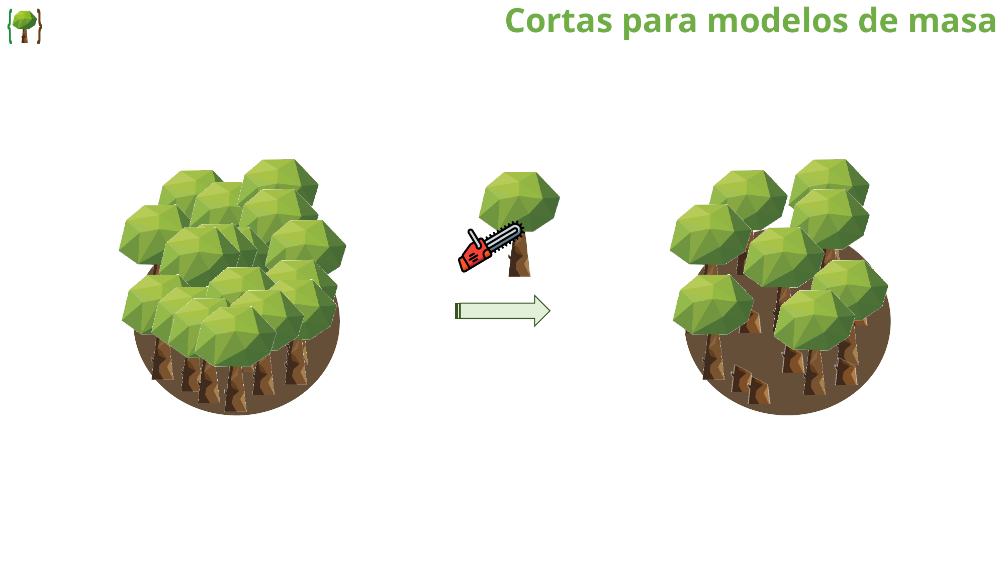 Cortas para modelos de masa